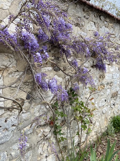 Le Normandy, France