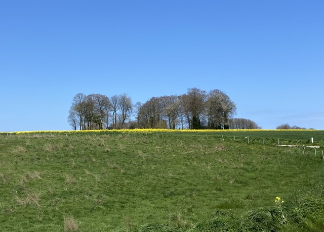 Le Normandy, France