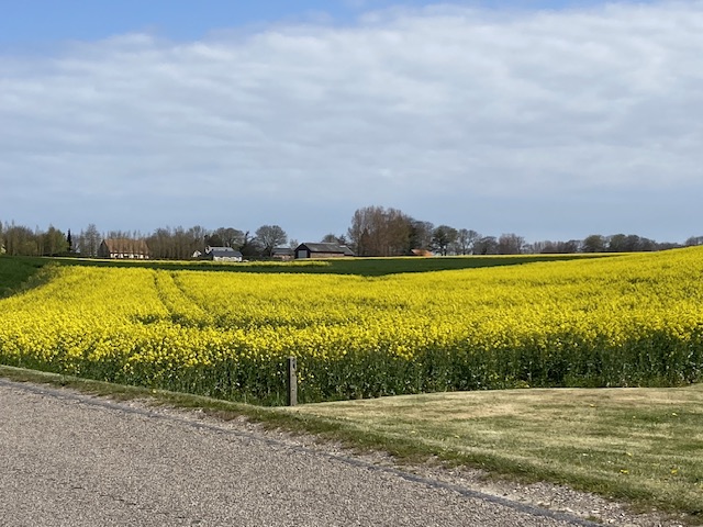 Le Normandy, France