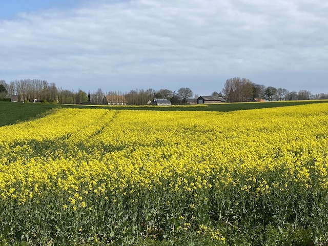 Le Normandy, France