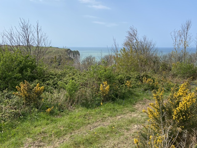 Le Normandy, France