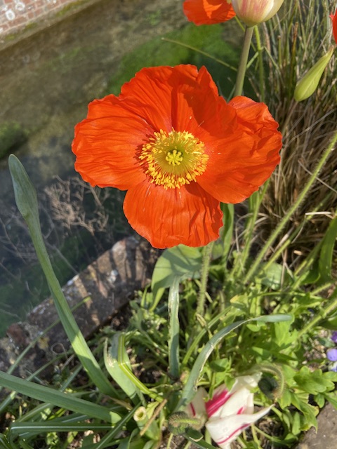 Le Normandy, France