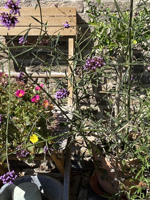 o12/14/415814/1/173888285.CJZDVVTO.IMG_2280.jpeg