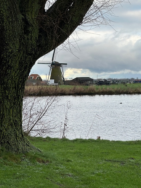 o12/14/415814/1/174255747.yyudy1GE.IMG_2145.jpeg