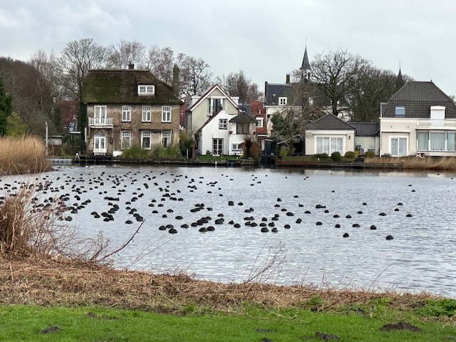 o12/14/415814/1/174255754.bogv1INf.IMG_2149.jpeg