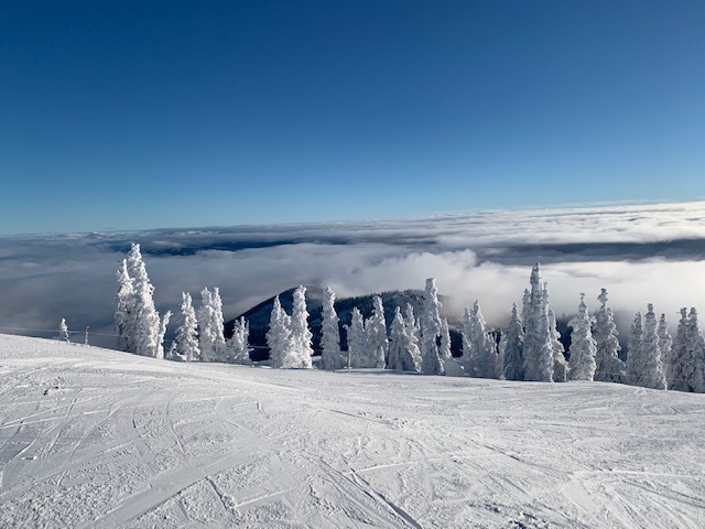 Schweitzer 2021b