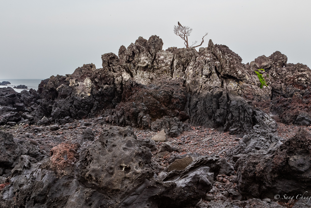 colors and shapes of lava rocks