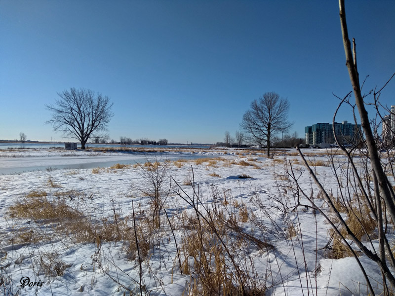 Froide journe sur le Saint-Laurent - Cold day on the Saint-Lawrence River !