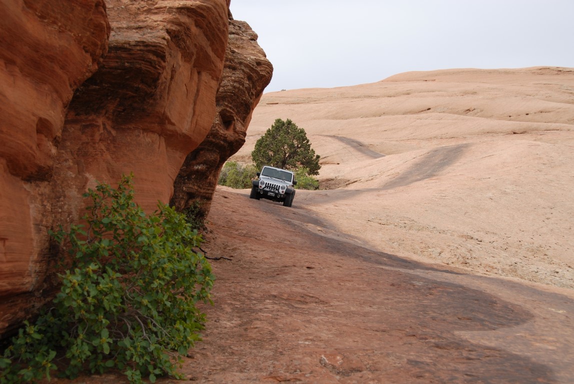 DSC_5596.JPG