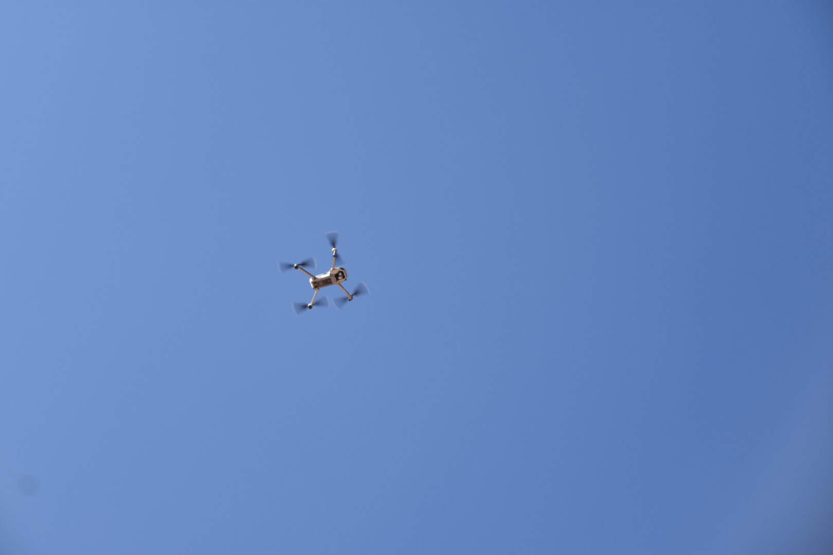 DSC_0403.JPG