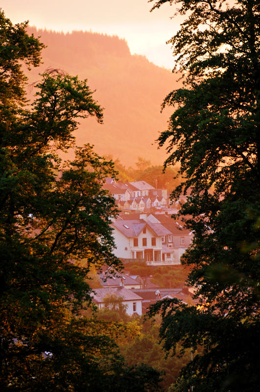Sunset shower framed by Beech trees