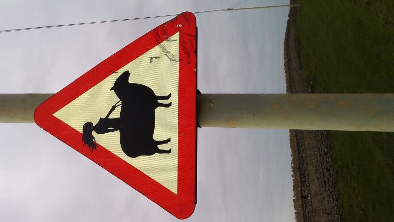 Lady Godiva rides a sheep in Ogmore