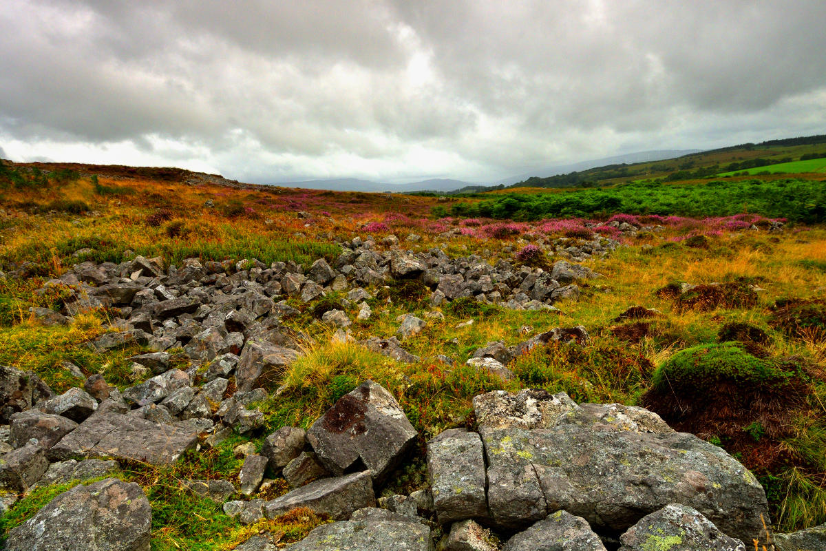 Scree and heather.