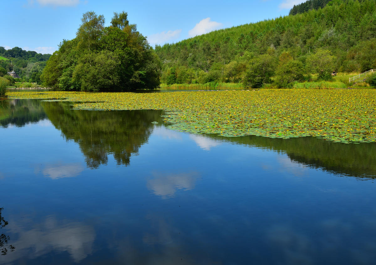Parc Cwm Darran.