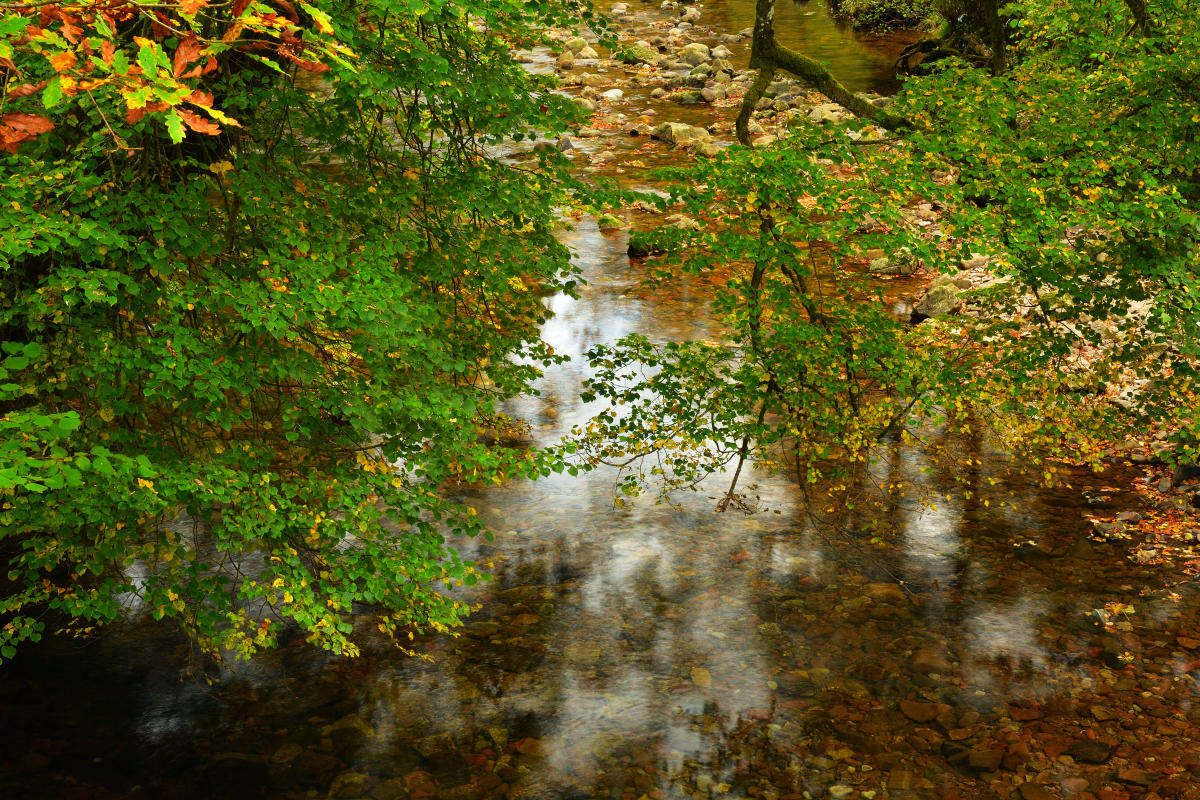 View downstream from the bridge.