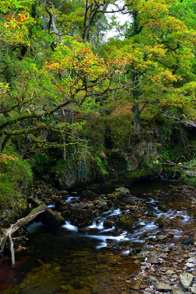 Upstream from the bridge.