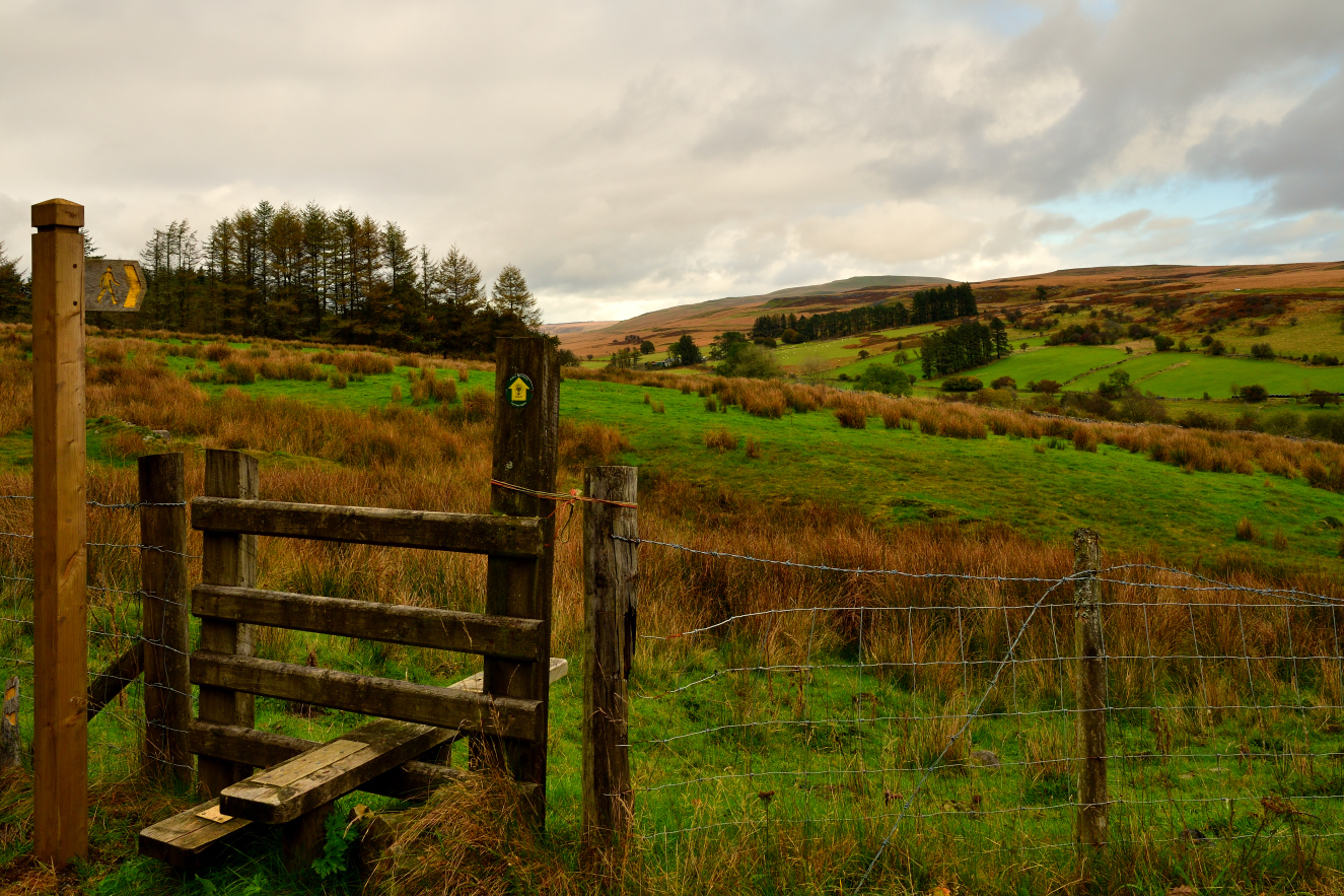Leading away from Gweunydd Hepste.