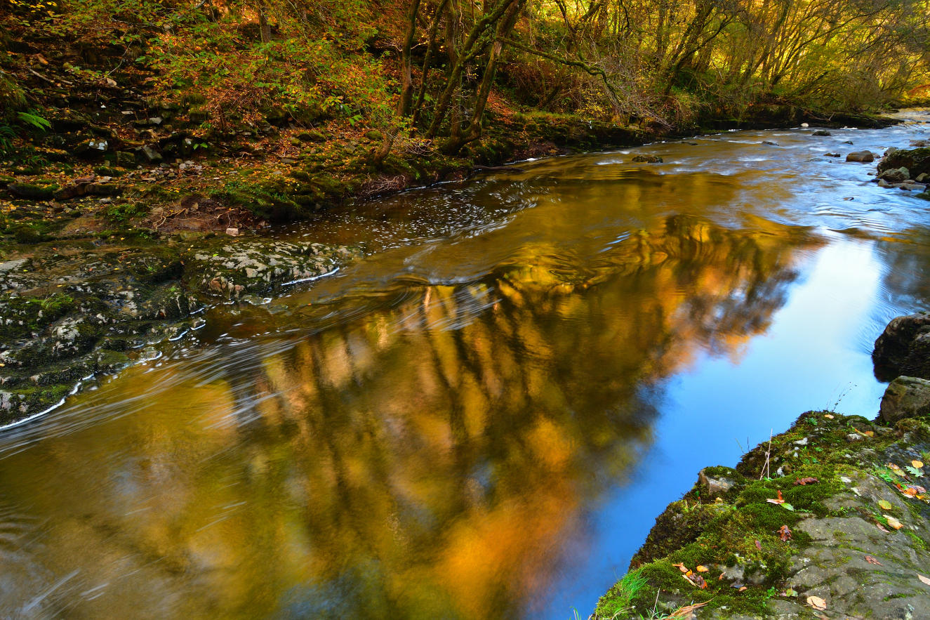 Autumn reflections.
