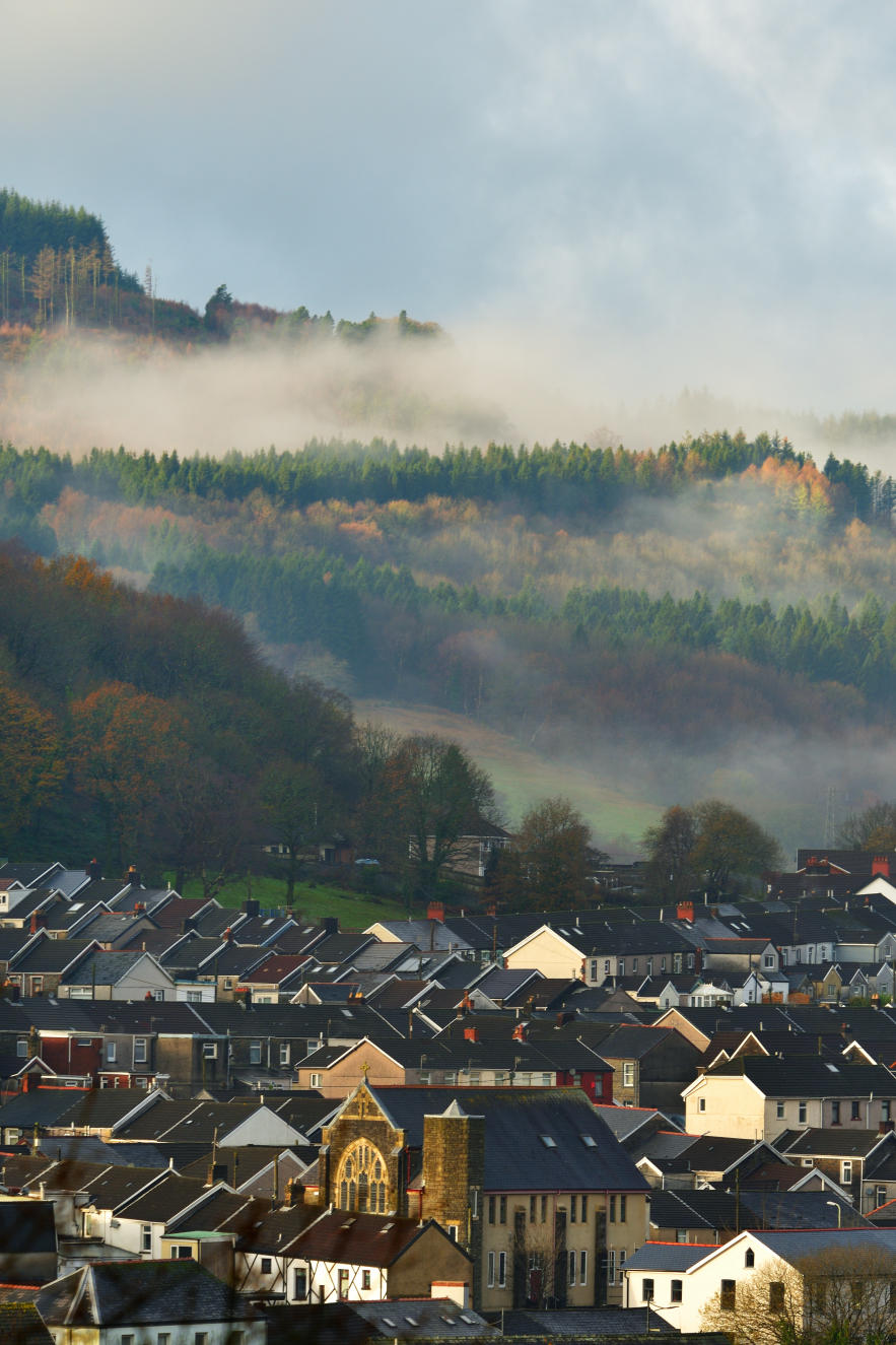 Mountain Ash looking towards Victoria Park.