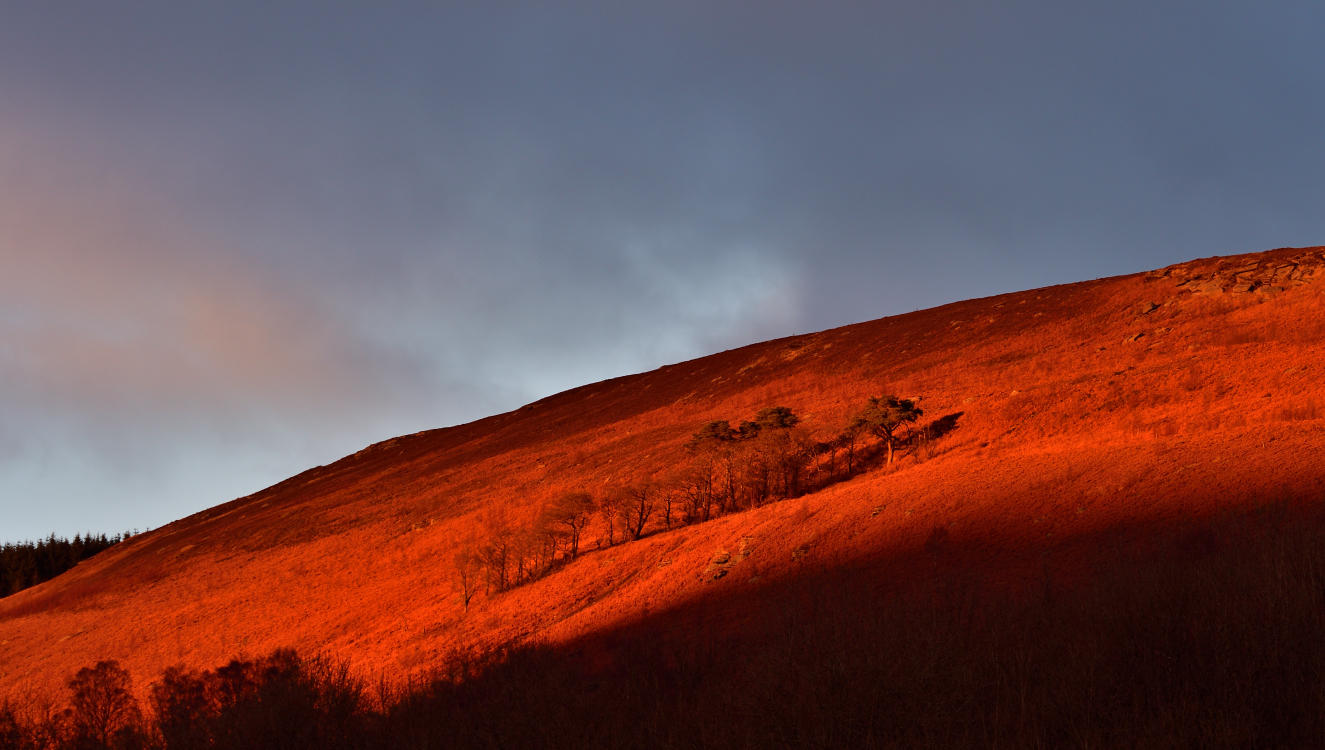 Mountain side above Caegarw and Cwmpennar.
