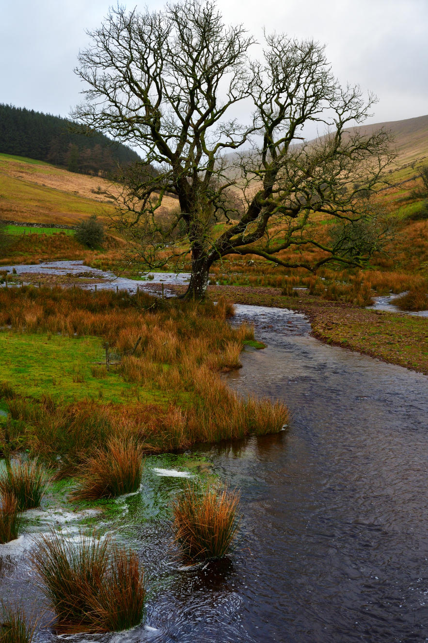Cwm Crew, Brecon Beacons.