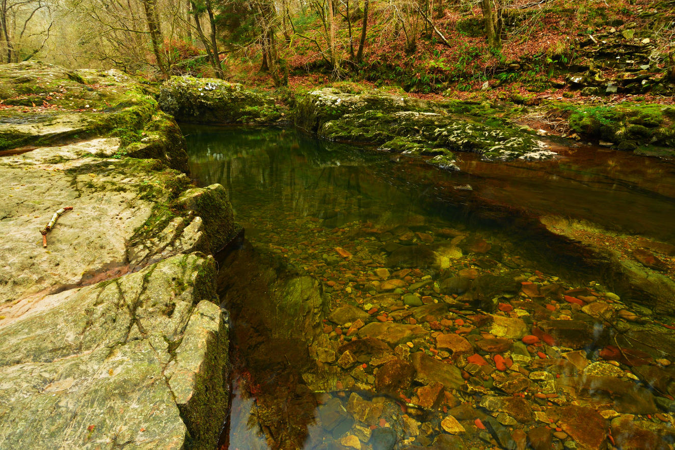 Crystal clear winter water.