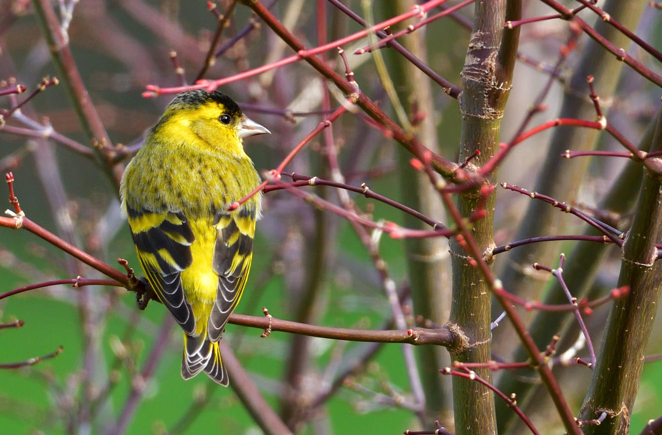 DSC_6644.JPG