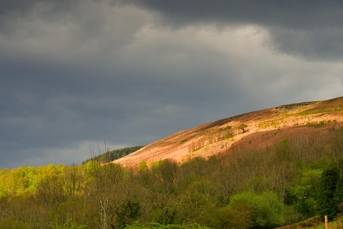 Mountain above Caegarw.