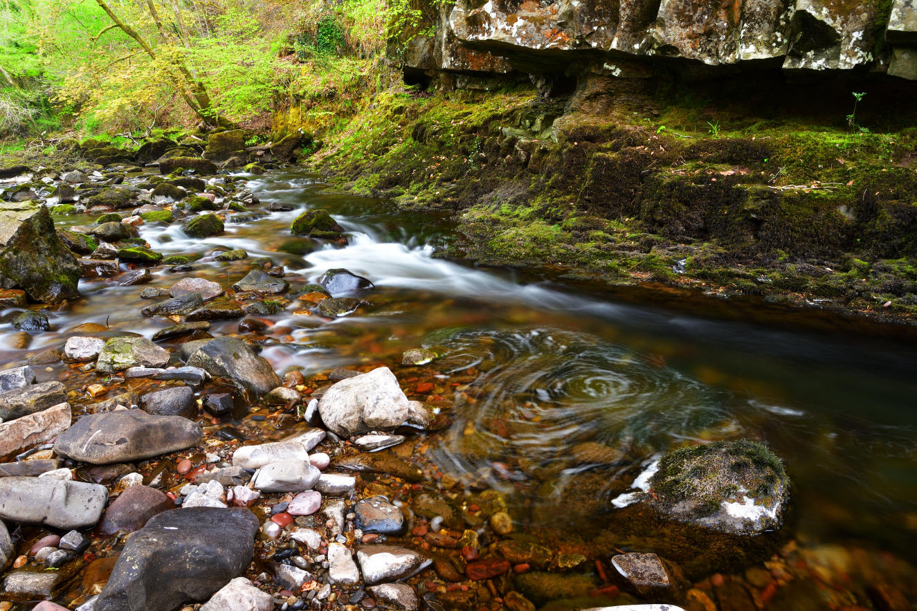 Low spring rainfall.