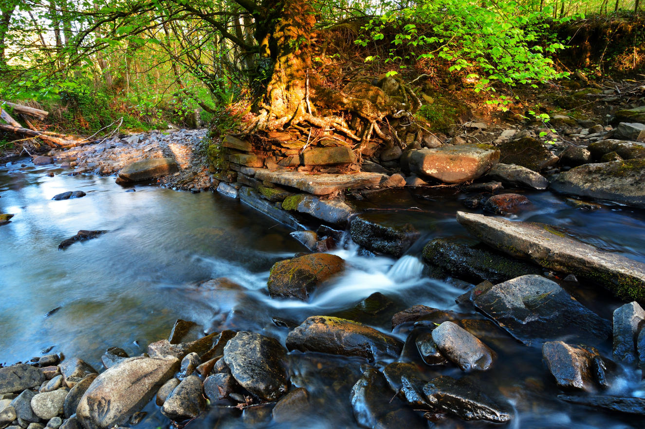 Cwm Clydach.