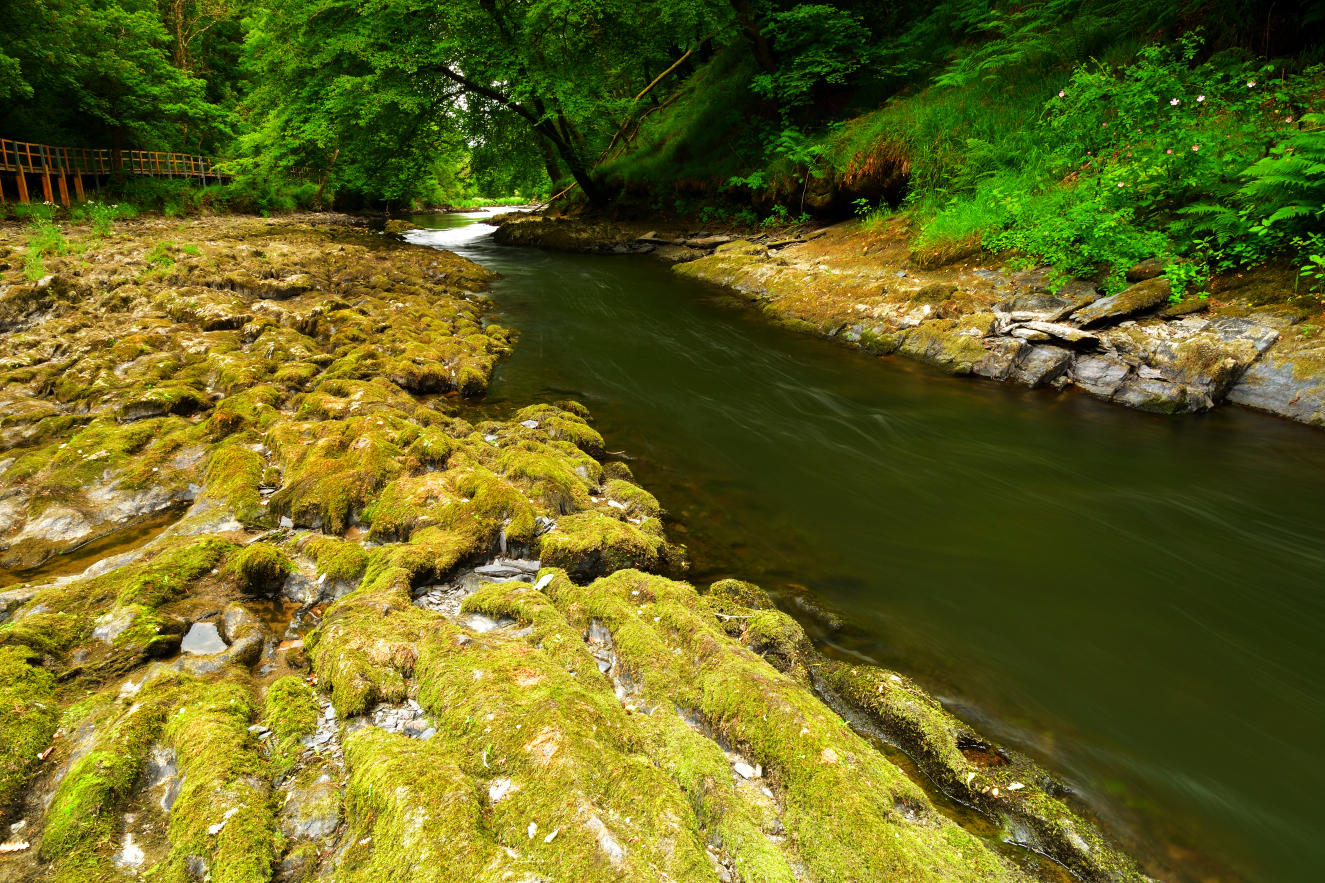 Upstream view of the Afon Teifi at Cenarth.