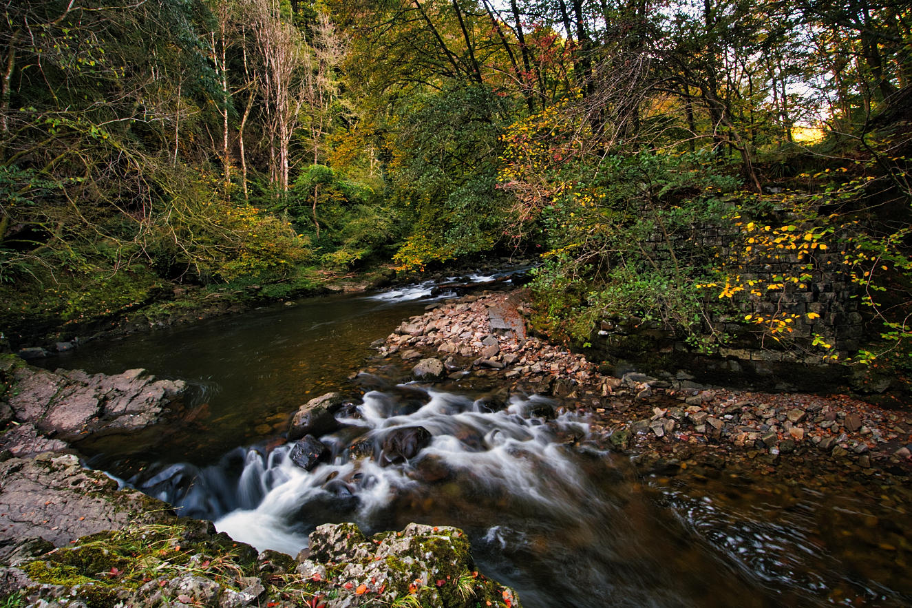 DSC_4492_01.JPG