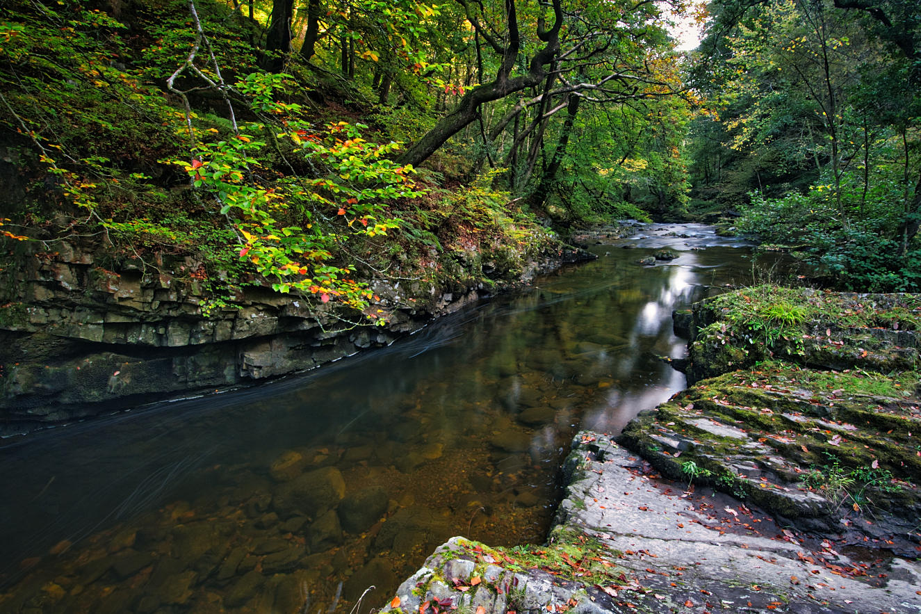 DSC_4499_01.JPG