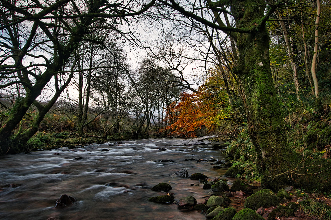 Hanging on to autumn, Craig-y-Nos.