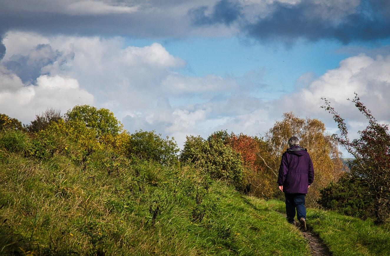 Autumn walk.