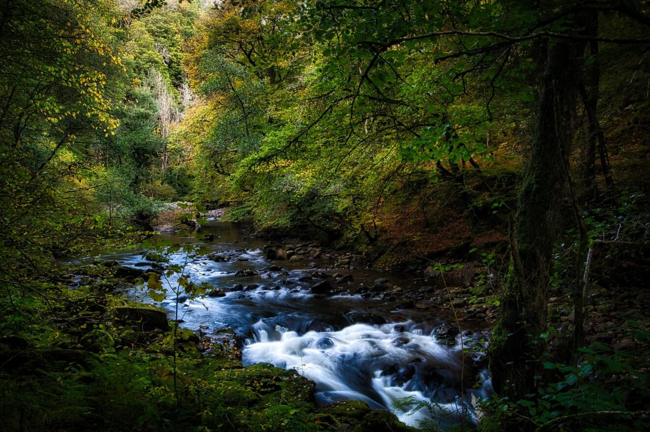 River view at Pontneddfechan.