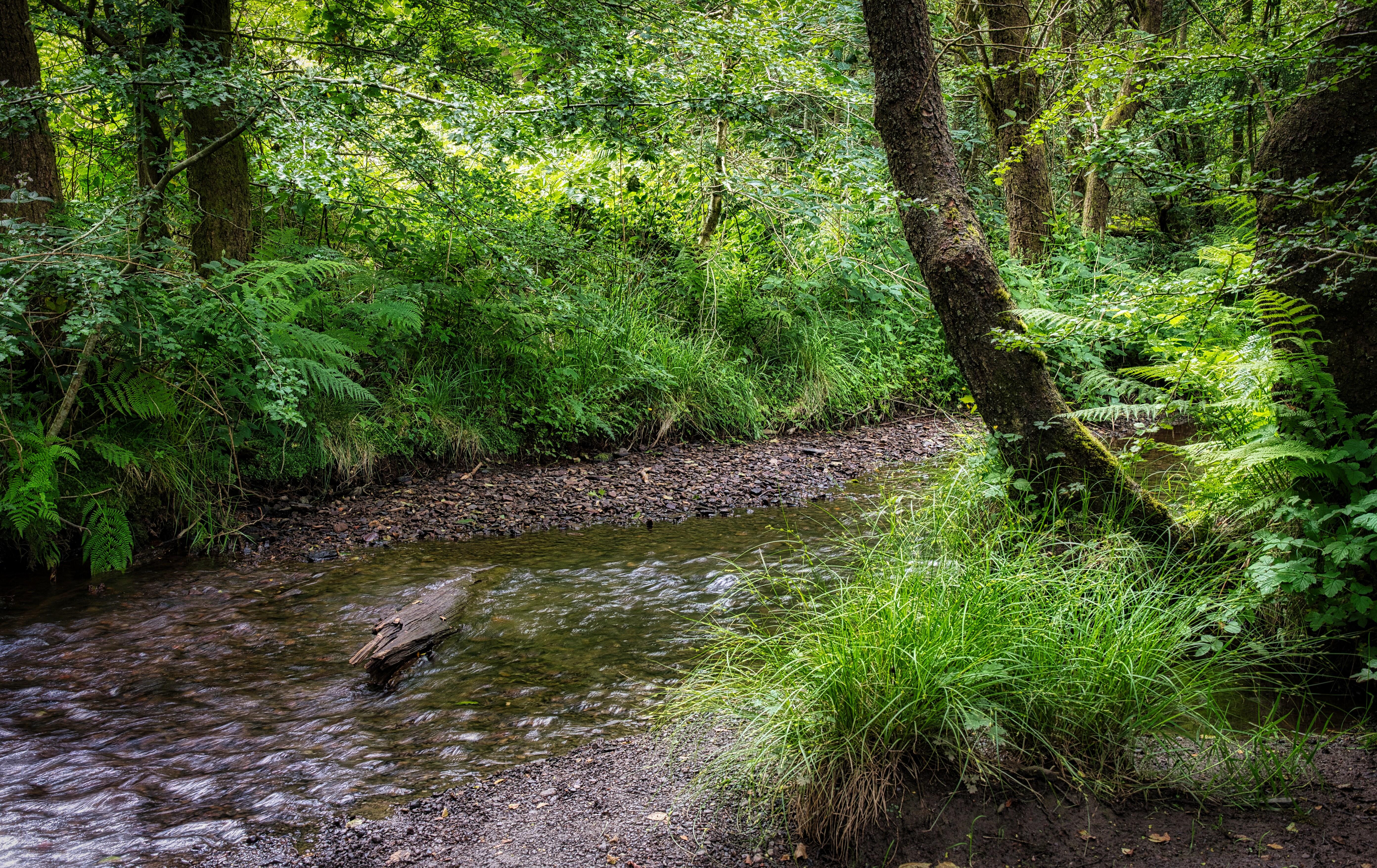 Afon Dar.