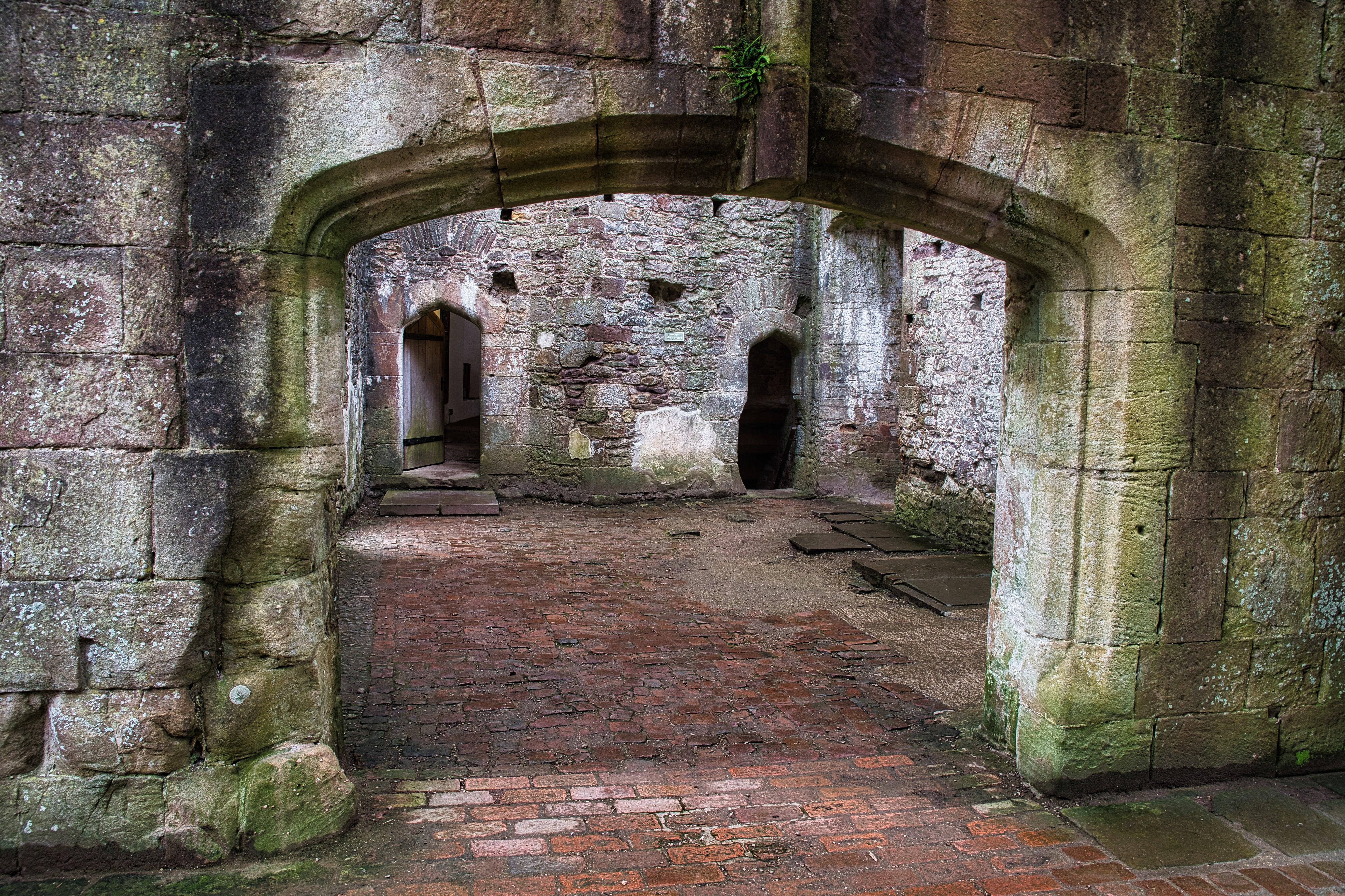 DSC_0866.jpg