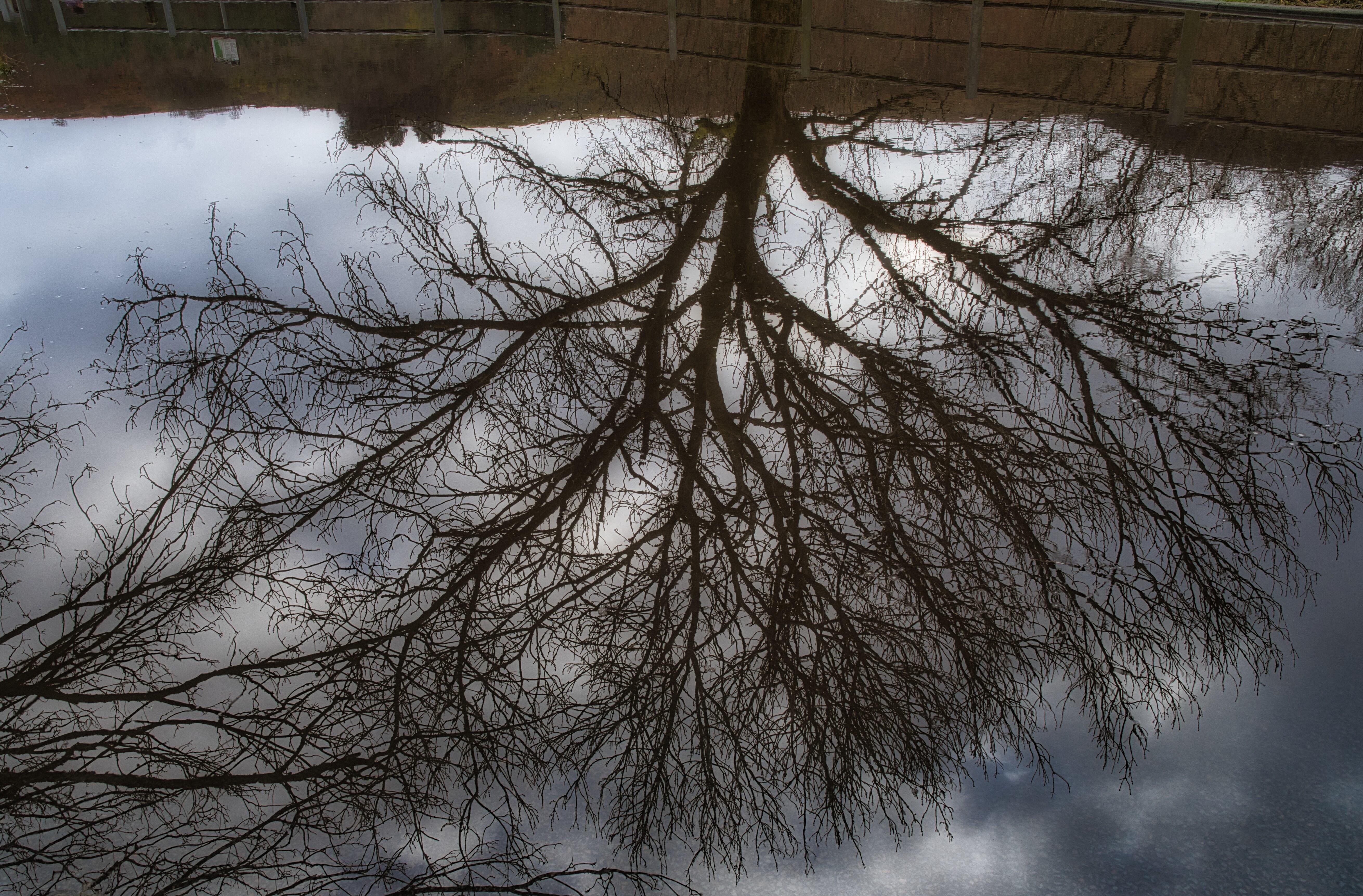 Flooded car park reflections.
