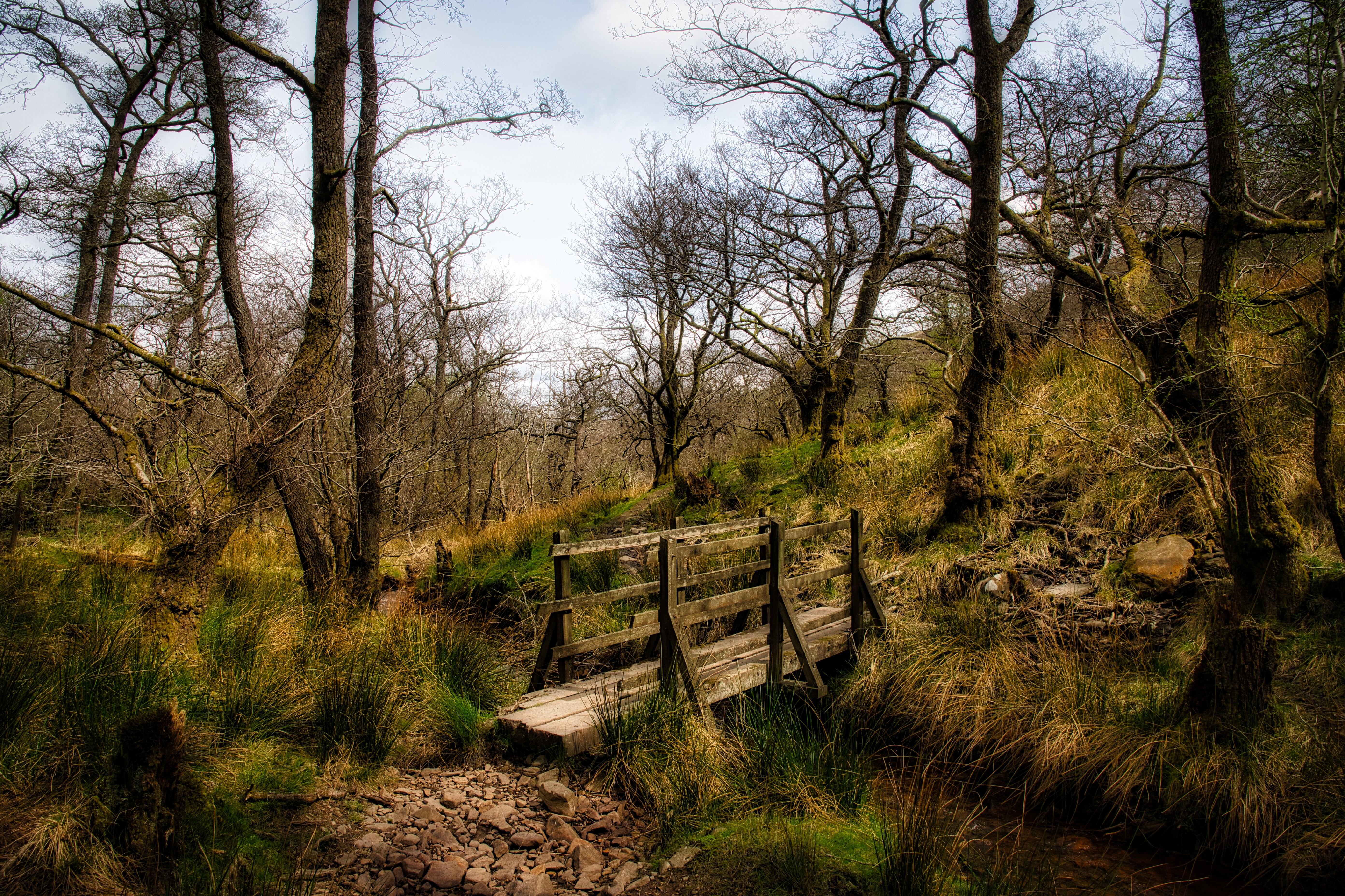 Footbridge in the glacial cwm.