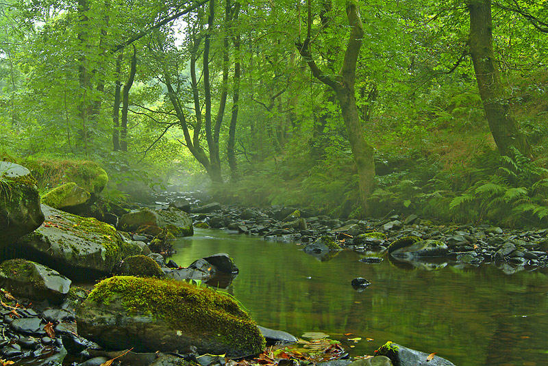 Cwm Clydach