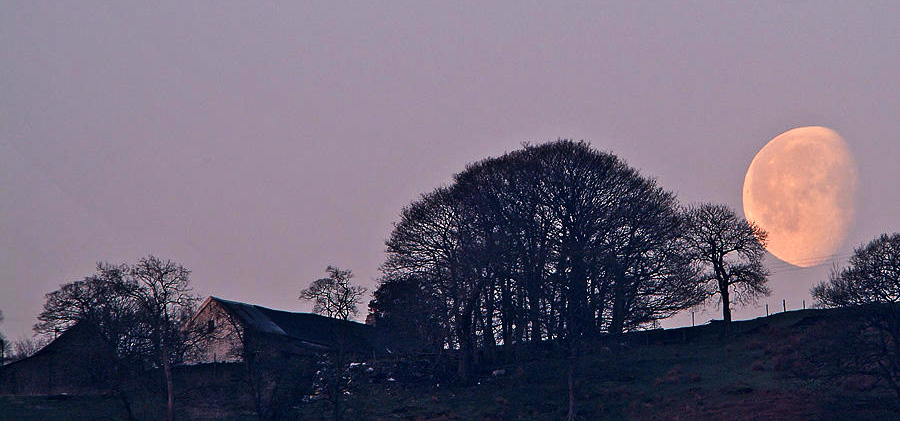 Moon before sunrise
