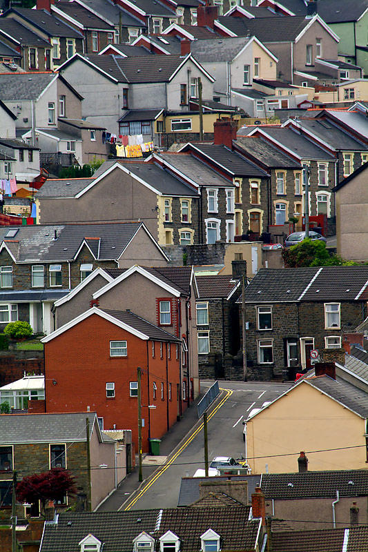 Darren-Las, Mountain Ash