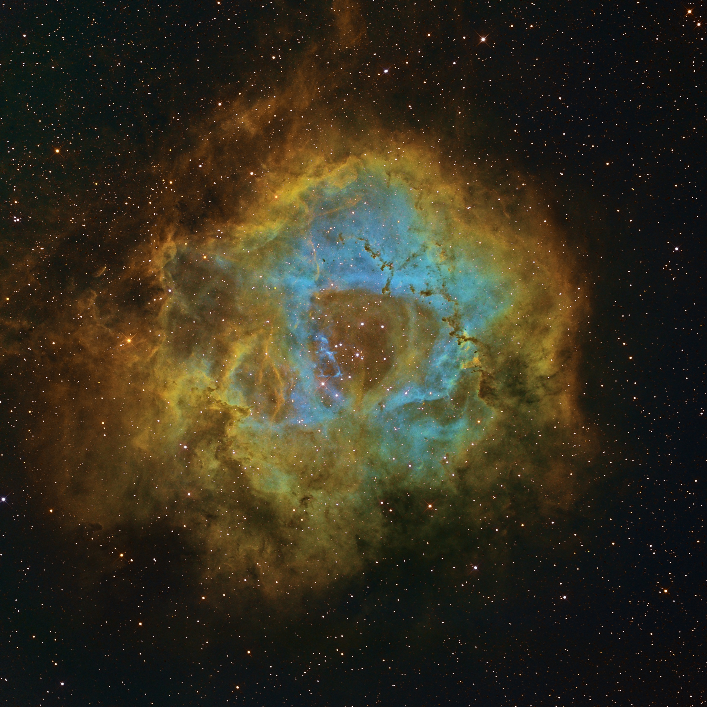 Rosette Nebula ( NGC2237-NGC2246) in Monoceros