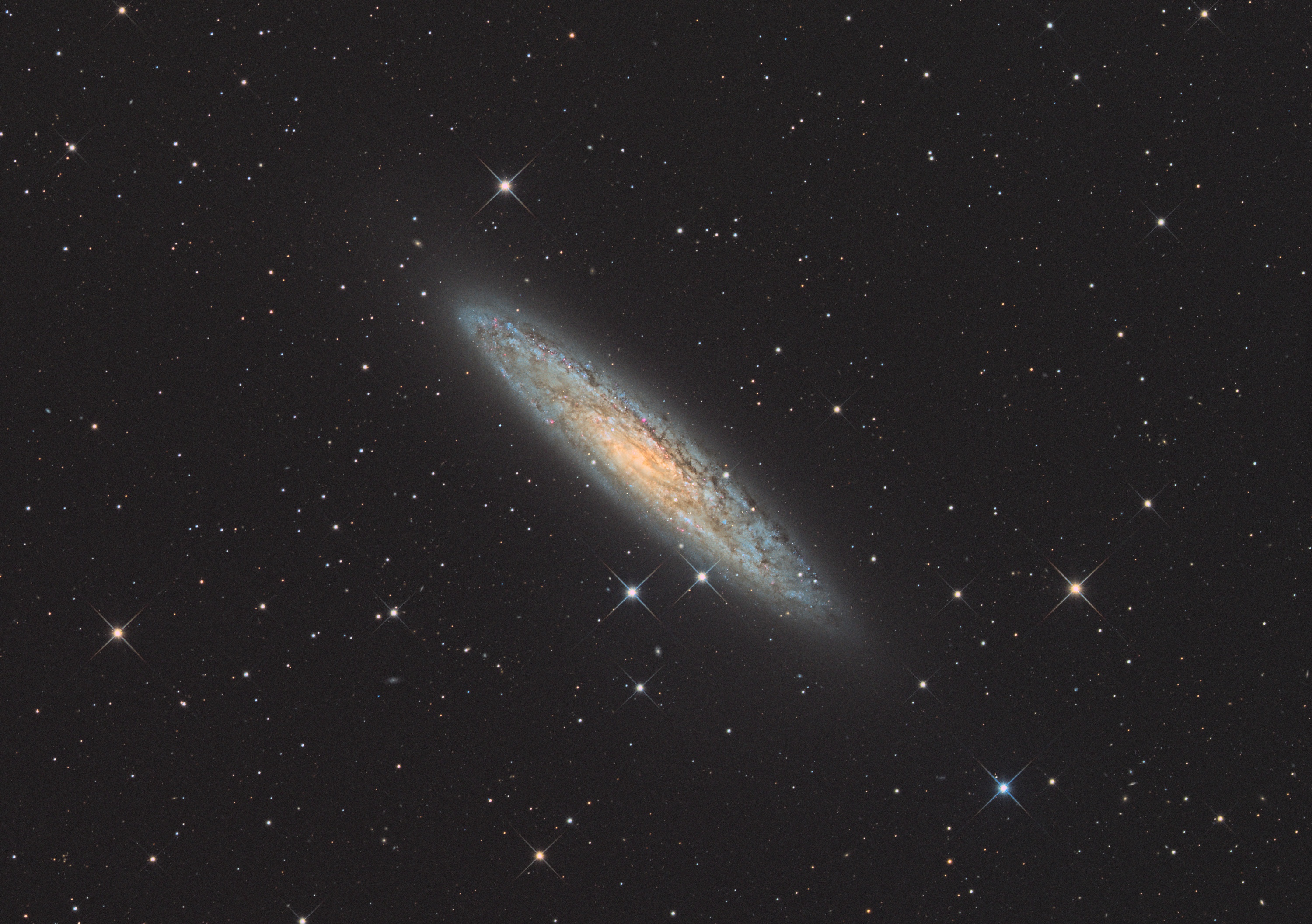 NGC253 in Sculptor 