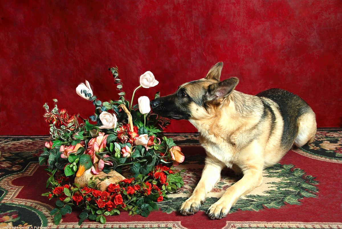 Sometimes, We all need to take the time to stop and smell the roses!