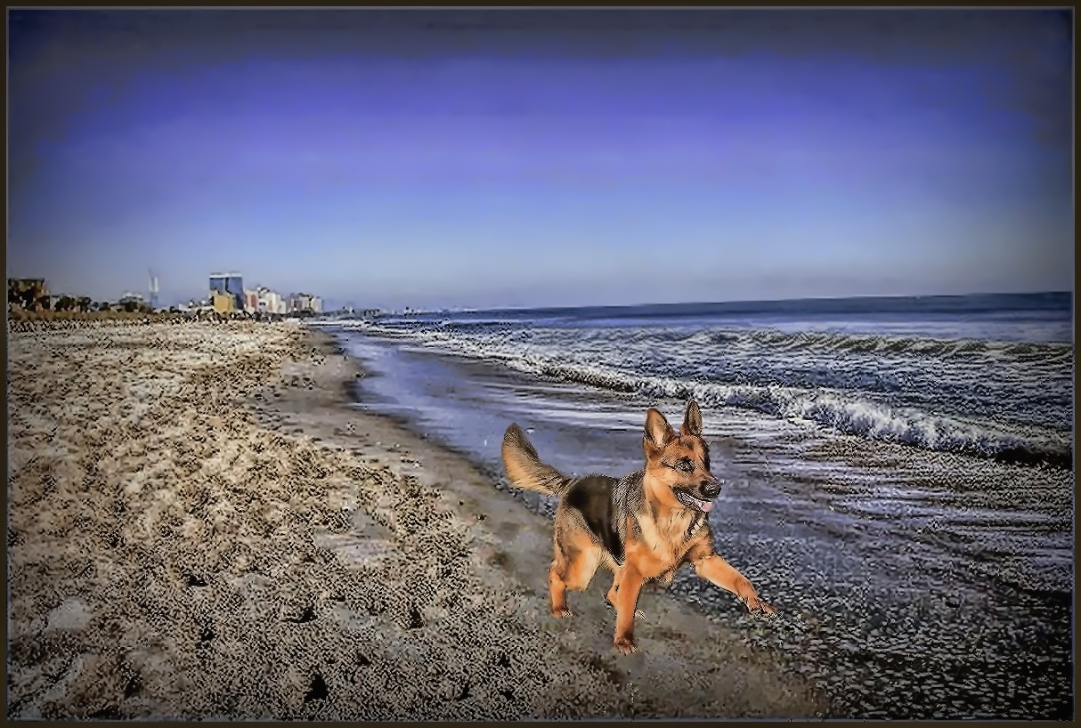 ocean walk