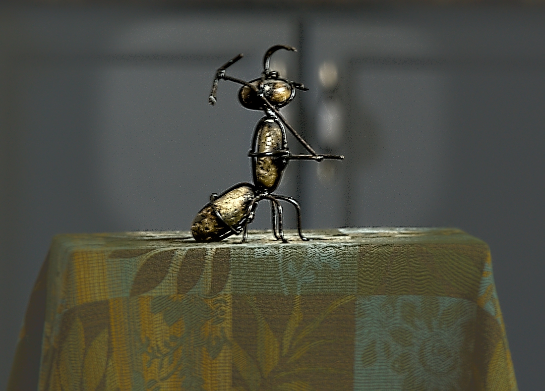 rock ant