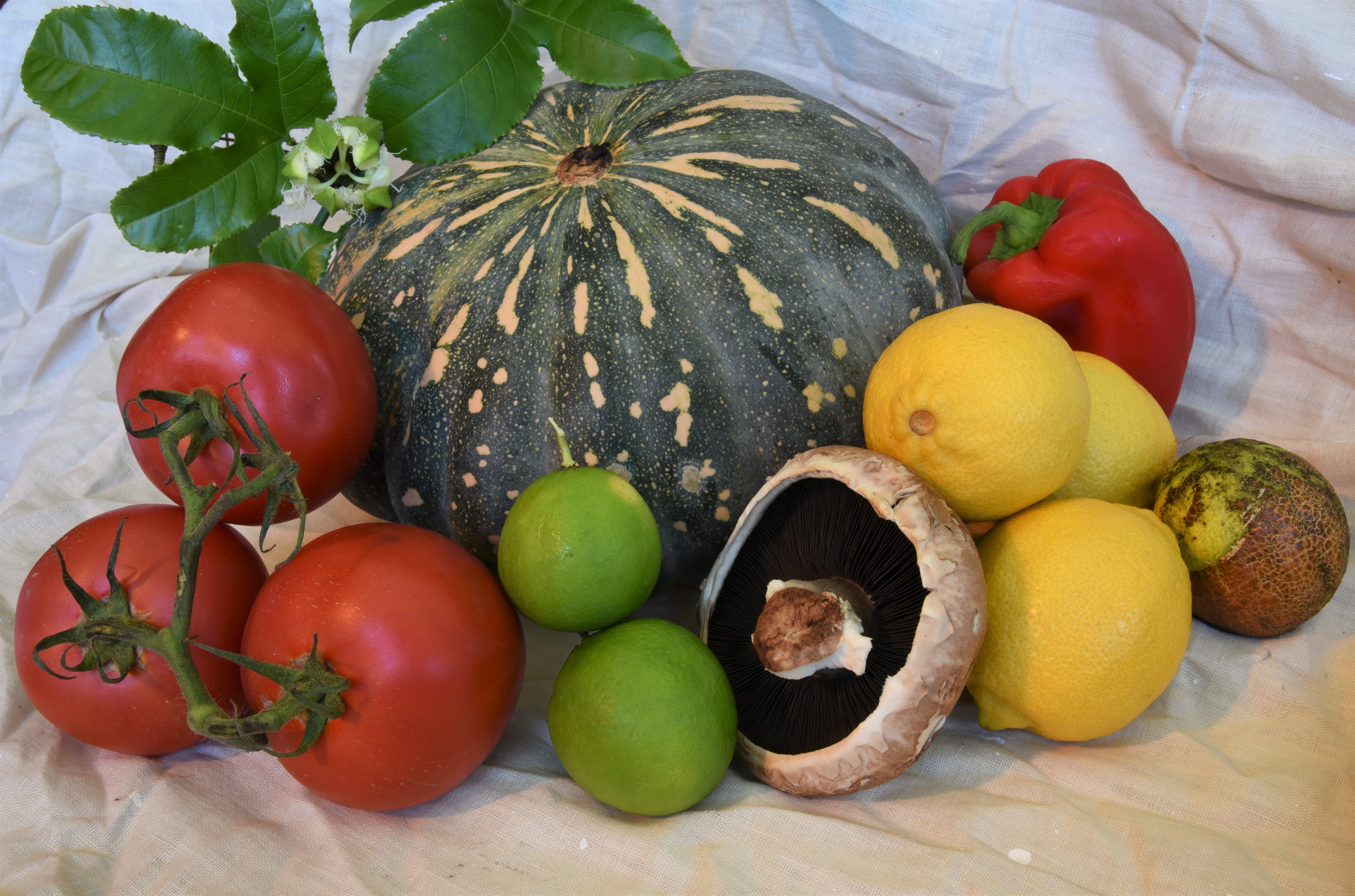 Still Life 1
