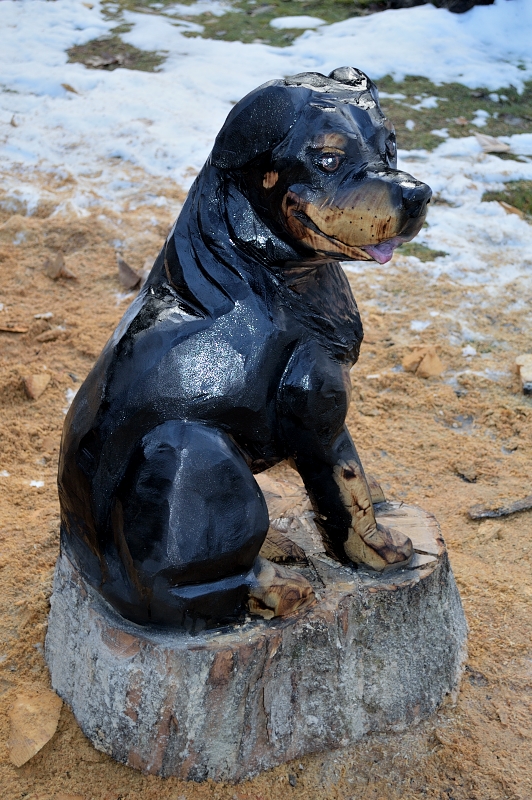 Chainsaw rottweiler